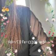 ヒメ日記 2025/05/05 11:11 投稿 かえで 待ちナビ