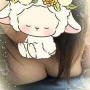 ヒメ日記 2025/05/10 11:05 投稿 かえで 待ちナビ