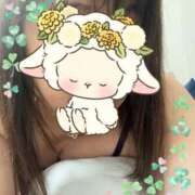 ヒメ日記 2025/05/14 11:49 投稿 かえで 待ちナビ