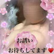 ヒメ日記 2025/05/24 14:45 投稿 かえで 待ちナビ