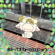 ヒメ日記 2025/05/28 10:32 投稿 かえで 待ちナビ