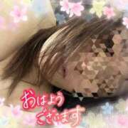 ヒメ日記 2025/05/30 10:18 投稿 かえで 待ちナビ