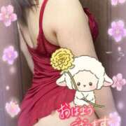 ヒメ日記 2025/06/02 07:45 投稿 かえで 待ちナビ