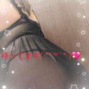 ヒメ日記 2025/06/27 16:05 投稿 かえで 待ちナビ