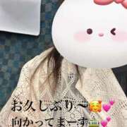 ヒメ日記 2025/07/09 10:01 投稿 かえで 待ちナビ