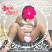 ヒメ日記 2025/07/27 10:05 投稿 かえで 待ちナビ