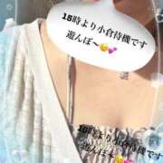 ヒメ日記 2025/07/29 14:49 投稿 かえで 待ちナビ