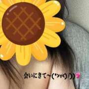 ヒメ日記 2025/08/06 10:33 投稿 かえで 待ちナビ