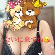 ヒメ日記 2025/08/17 09:38 投稿 かえで 待ちナビ