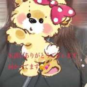 ヒメ日記 2025/09/29 10:45 投稿 かえで 待ちナビ