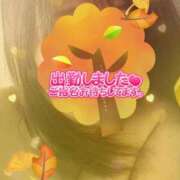 ヒメ日記 2025/10/30 09:42 投稿 かえで 待ちナビ