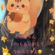 ヒメ日記 2025/10/31 14:17 投稿 かえで 待ちナビ