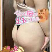 ヒメ日記 2025/11/04 12:26 投稿 かえで 待ちナビ