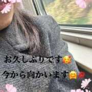 ヒメ日記 2025/12/14 10:15 投稿 かえで 待ちナビ