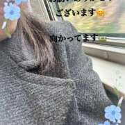 ヒメ日記 2025/12/15 15:10 投稿 かえで 待ちナビ