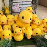 ななこ 【お礼写メ日記】 多恋人