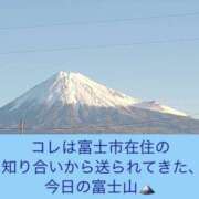 ヒメ日記 2023/11/14 09:57 投稿 伊藤 ひでみ こあくまな熟女たち沼津店（KOAKUMAグループ）