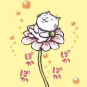 ヒメ日記 2025/03/01 09:54 投稿 伊藤 ひでみ こあくまな熟女たち沼津店（KOAKUMAグループ）