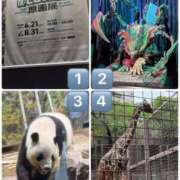 ヒメ日記 2025/07/12 09:50 投稿 伊藤 ひでみ こあくまな熟女たち沼津店（KOAKUMAグループ）