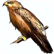 ヒメ日記 2025/08/14 09:51 投稿 伊藤 ひでみ こあくまな熟女たち沼津店（KOAKUMAグループ）