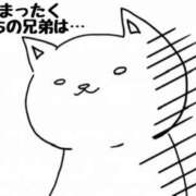 ヒメ日記 2025/09/15 09:48 投稿 伊藤 ひでみ こあくまな熟女たち沼津店（KOAKUMAグループ）