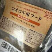 ヒメ日記 2025/10/15 12:54 投稿 伊藤 ひでみ こあくまな熟女たち沼津店（KOAKUMAグループ）