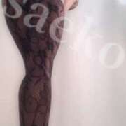 ヒメ日記 2024/12/11 10:51 投稿 さえこ 変態紳士倶楽部福岡店