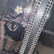 Rinka ⚐ﾞ THE PREMIUM （プレミアム）