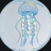 ヒメ日記 2025/06/02 12:23 投稿 蔵前 まこと SSSクラス学生 ファーストクラス ルビー