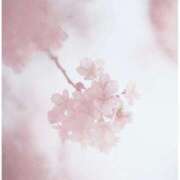 ヒメ日記 2025/01/23 15:53 投稿 椿 れん Men's relaxation VEGA