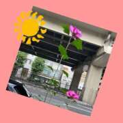 ヒメ日記 2024/12/19 11:57 投稿 山室 鶯谷人妻城