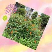 ヒメ日記 2025/01/30 19:04 投稿 山室 鶯谷人妻城