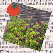 ヒメ日記 2025/02/21 13:27 投稿 山室 鶯谷人妻城