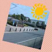 ヒメ日記 2025/03/13 13:54 投稿 山室 鶯谷人妻城