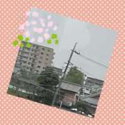 ヒメ日記 2025/04/11 13:22 投稿 山室 鶯谷人妻城