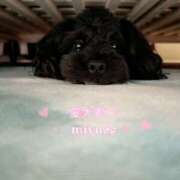 ヒメ日記 2025/08/27 16:05 投稿 みゆ 栃木宇都宮ちゃんこ