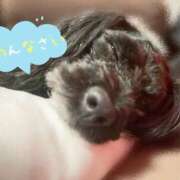 ヒメ日記 2025/10/25 11:55 投稿 みゆ 栃木宇都宮ちゃんこ