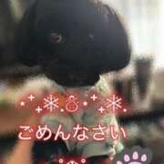 ヒメ日記 2025/12/13 16:35 投稿 みゆ 栃木宇都宮ちゃんこ