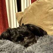 ヒメ日記 2026/01/25 16:05 投稿 みゆ 栃木宇都宮ちゃんこ