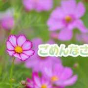 ヒメ日記 2026/02/13 12:05 投稿 みゆ 栃木宇都宮ちゃんこ