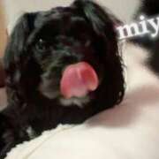 ヒメ日記 2026/02/21 13:15 投稿 みゆ 栃木宇都宮ちゃんこ