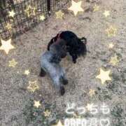 みゆ こんばんは🌙*.｡ 栃木宇都宮ちゃんこ