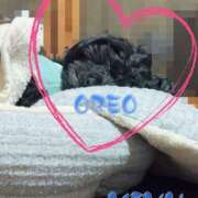 ヒメ日記 2026/03/08 00:35 投稿 みゆ 栃木宇都宮ちゃんこ