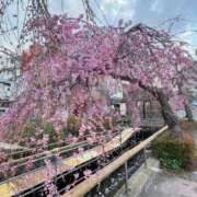 ヒメ日記 2026/03/24 07:05 投稿 みゆ 栃木宇都宮ちゃんこ