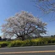 みゆ こんにちは🌧 栃木宇都宮ちゃんこ