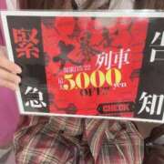 ヒメ日記 2025/05/21 16:14 投稿 くれは みつらん鉄道