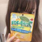 ヒメ日記 2025/06/14 23:20 投稿 くれは みつらん鉄道