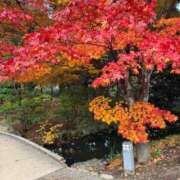 ヒメ日記 2025/11/03 15:43 投稿 みおり アニバーサリー