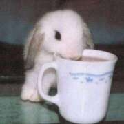 ヒメ日記 2026/02/14 21:05 投稿 ゆうな アニバーサリー