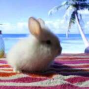 ヒメ日記 2026/02/22 23:54 投稿 ゆうな アニバーサリー